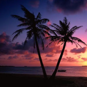 Meet your Posher, Gulianna